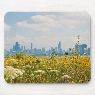 Chicago som sett från Montrose hamn fågel Musmatta