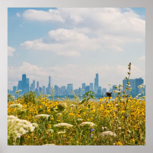 Chicago som sett från Montrose hamn fågel Poster