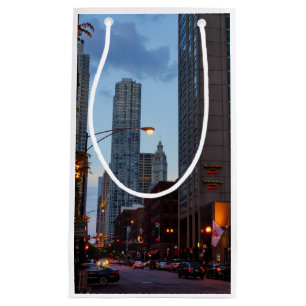 Chicago Street Scene
