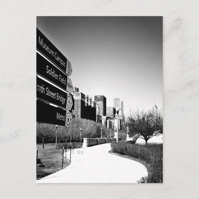 Chicago This Way Postcard Vykort (Framsida)