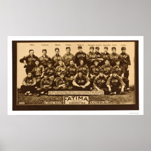 Chicago Unge Baseball 1913 Poster