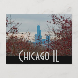 chicago vykort