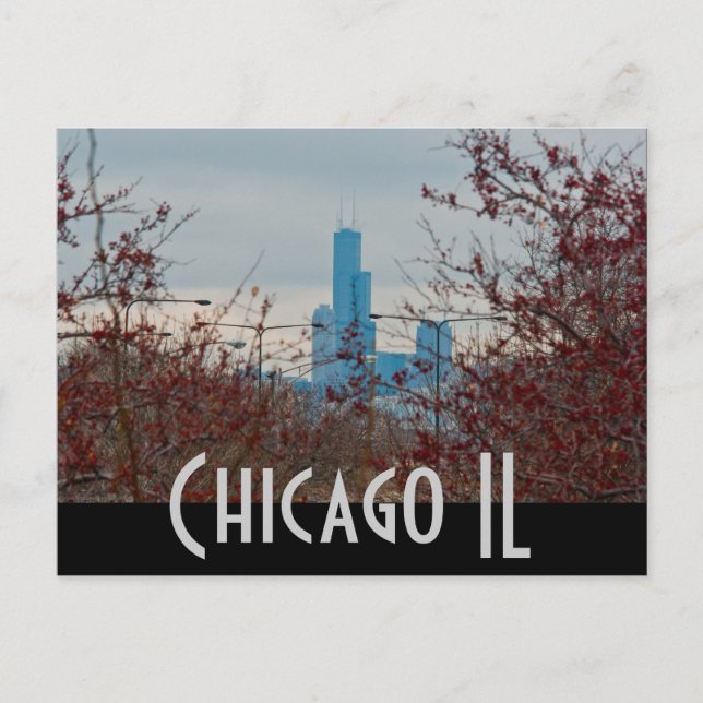 chicago vykort (Framsida)