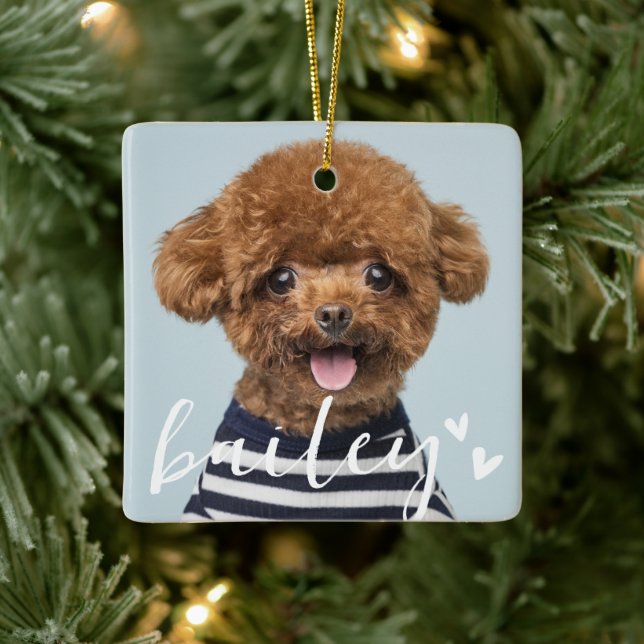 Chicen Pet Photo (foto) för moderna, uppspelande,  Julgransprydnad Keramik (Träd)