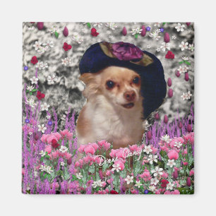ChiChi i blommor - Chihuahuavalp i gullig hatt Magnet