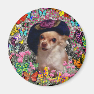 ChiChi i fjärilar - Chihuahua Magnet