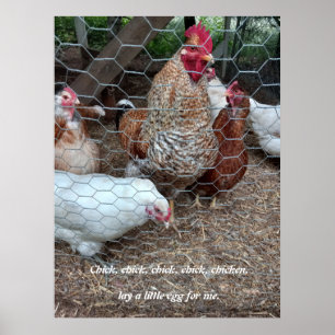 Chick chick kycklingroligt poster