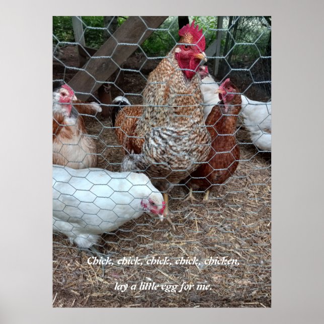 Chick chick kycklingroligt poster (Framsidan)