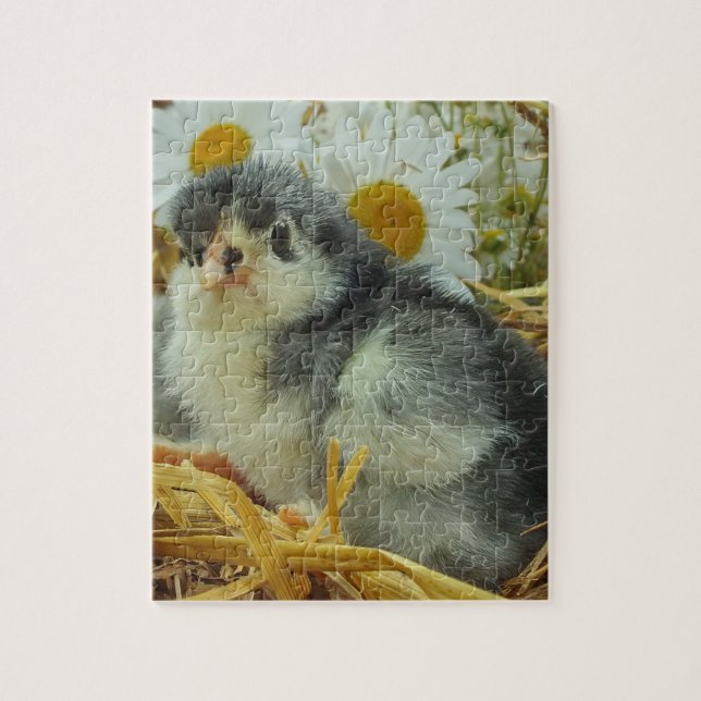 chick, djur, baby, söt gult, blomma, vit. pussel (Vertikal)