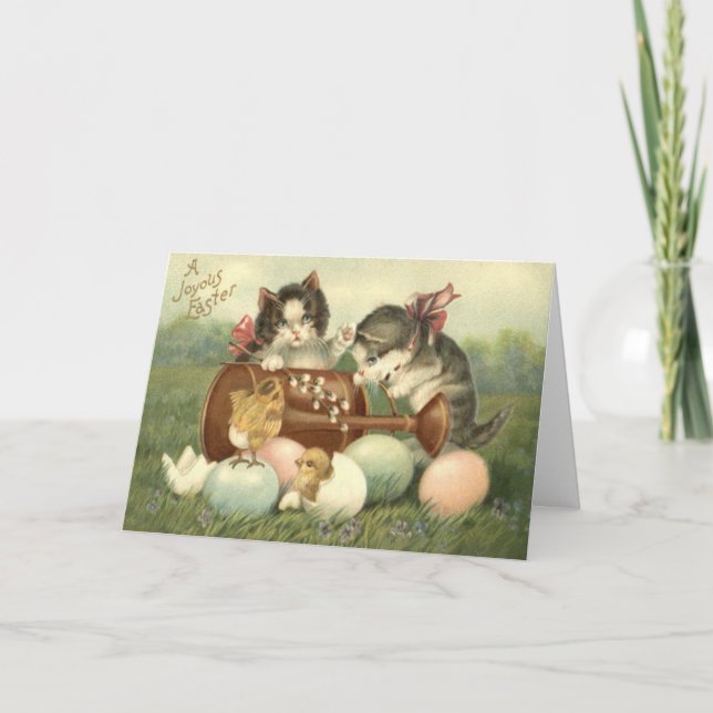 Chick för ägg för kattkattungepåsk färgad målad helgkort (Framsida)