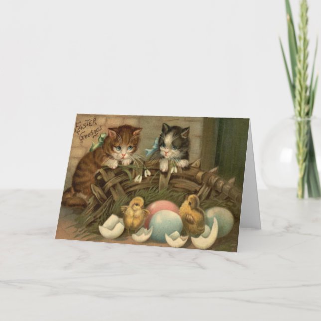 Chick för ägg för kattkattungepåsk färgad målad helgkort (Framsida)