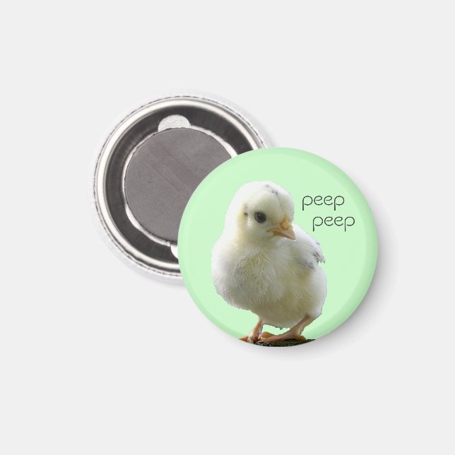 Chick för gult Vår Magnet (Front/Back)