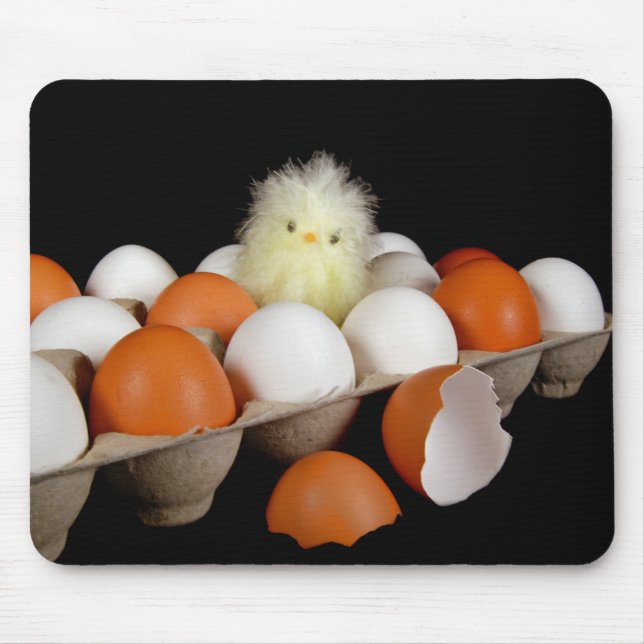 Chick i äggkartongen musmatta (Framsidan)
