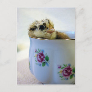 Chick i Tea Kopp Helg Vykort