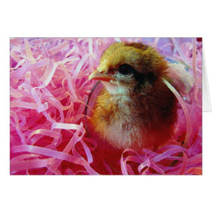 Chick i Vin-glas Hälsningskort