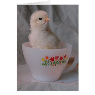 CHICK i VINTAGE TEKOPP Hälsningskort
