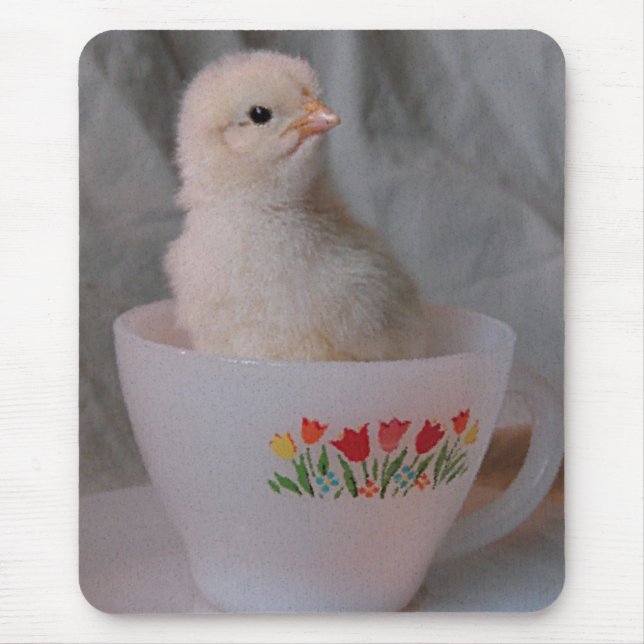 CHICK i VINTAGE TEKOPP Musmatta (Framsidan)