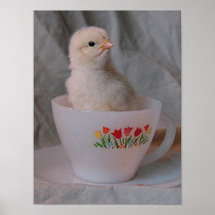 Chick i Vintage Tekopp Poster