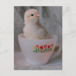 Chick i Vintage Tekopp Vykort