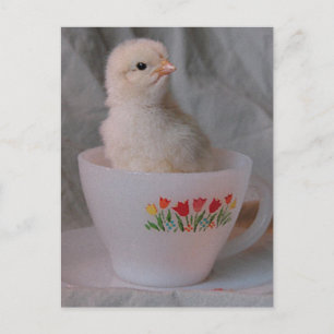 Chick i Vintage Tekopp Vykort