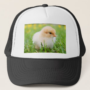 Chick Keps