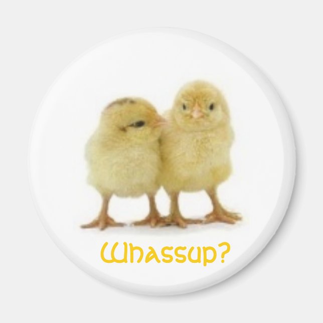Chick? Magnet (Framsidan)