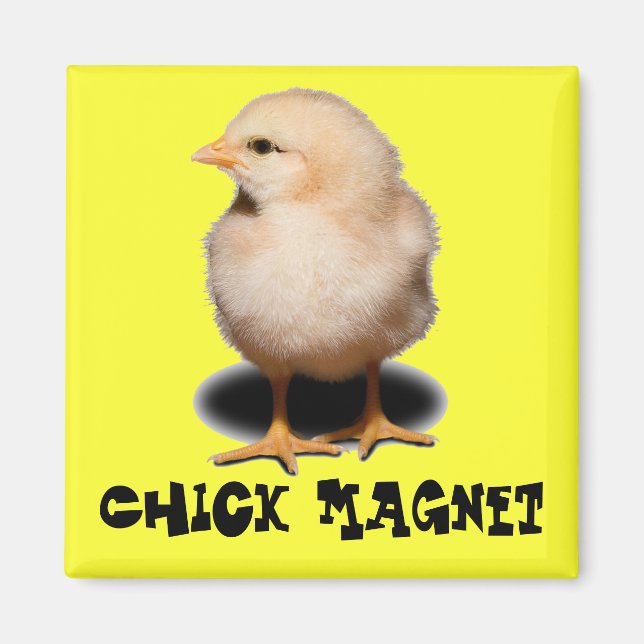 Chick Magnet (Framsidan)