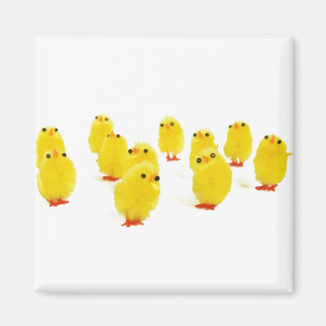 Chick magnet-chilin med mina pepar lustiga foto magnet (Framsidan)