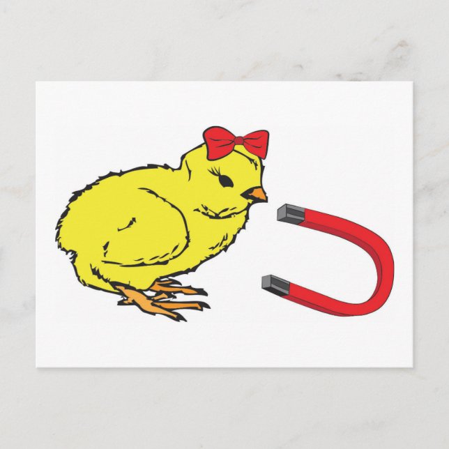 Chick Magnet lustig dam exportman Vykort (Framsida)