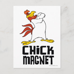 Chick Magnet Vykort