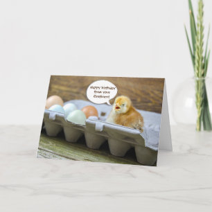 chick och ägg i kartong för Pappa födelsedagsdag Kort