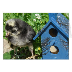 Chick och blandat mediehus hälsningskort