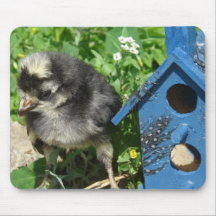 Chick och blandat mediehus musmatta