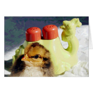 Chick och kamel hälsningskort
