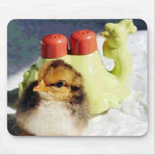 Chick och kamel musmatta