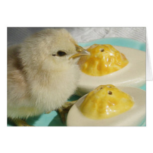 Chick och skadade ägg 2 hälsningskort