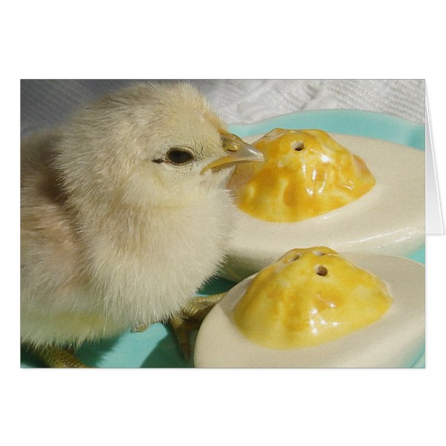 Chick och skadade ägg 2 hälsningskort (Framsidan Horizontal)
