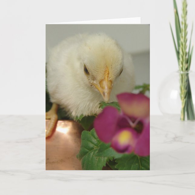 Chick om Copper Tea Kettle i Garden Kort (Framsida)