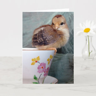 Chick på Tekopp av Angelandspot Kort