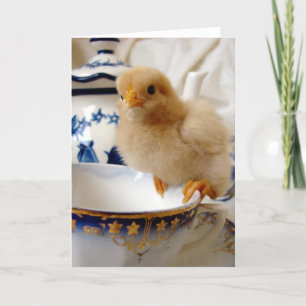 Chick på Tekopp av Angelandspot Kort