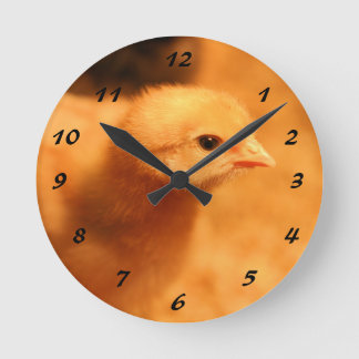 Chick Rund Klocka