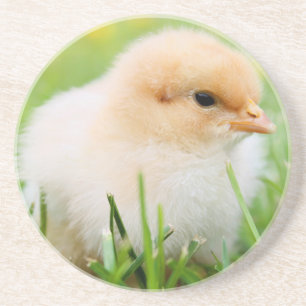 Chick Underlägg