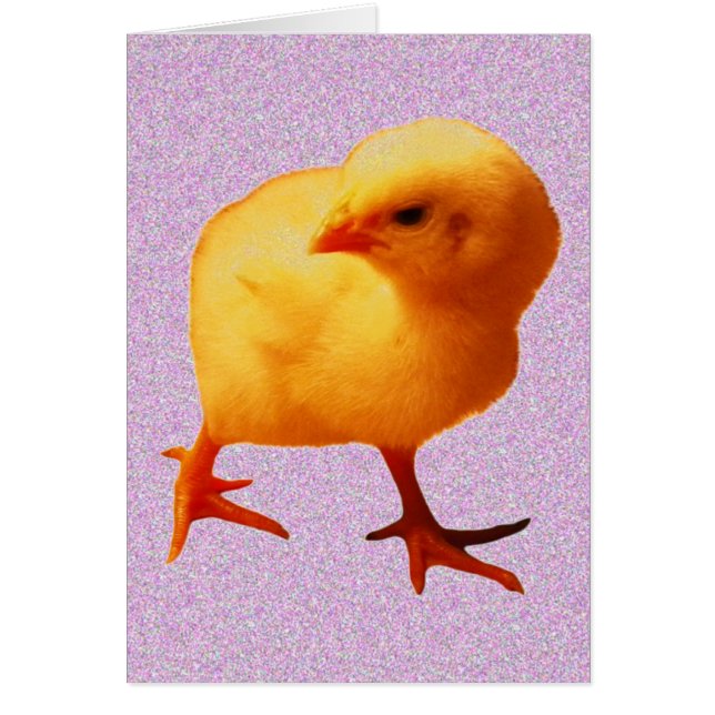 Chick vid förflyttning hälsningskort (Framsidan)