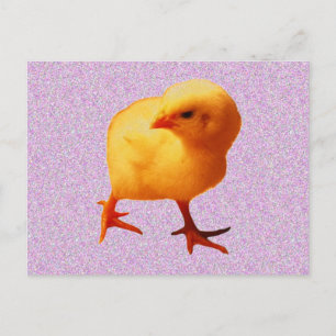Chick vid förflyttning vykort