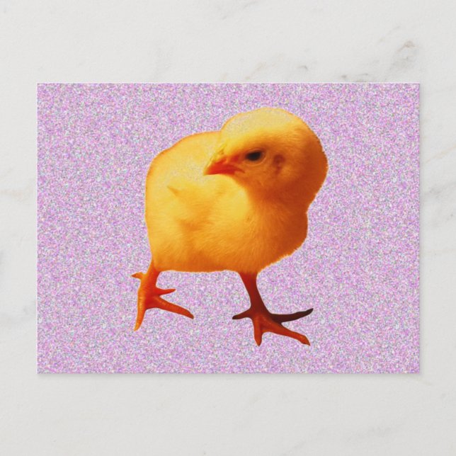 Chick vid förflyttning vykort (Framsida)