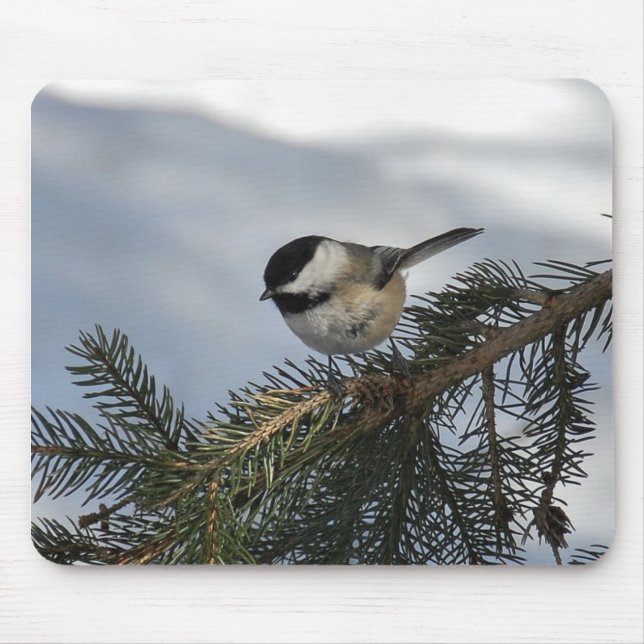 Chickadee 2 musmatta (Framsidan)