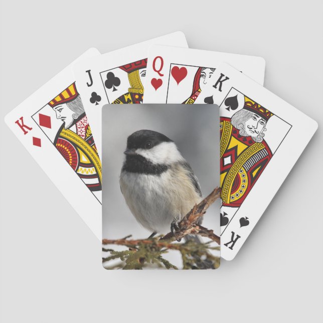 Chickadee_9478 Casinokort (Baksidan)