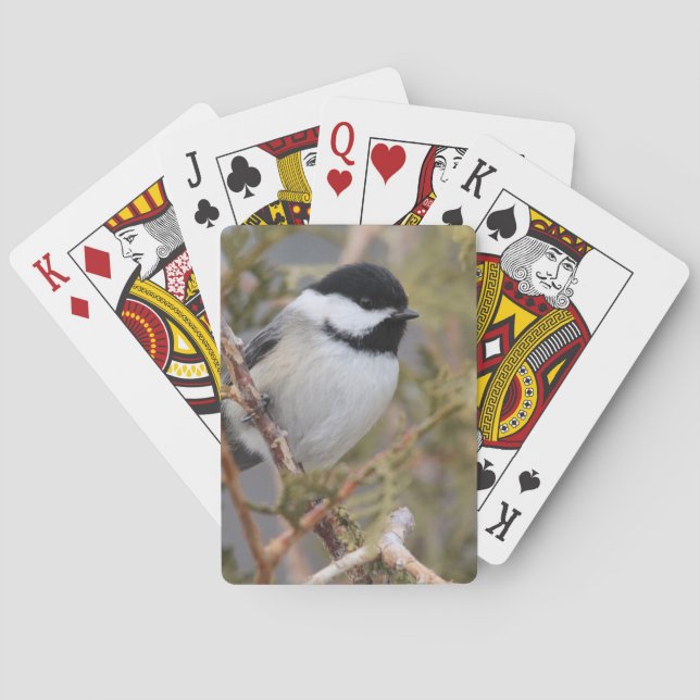 Chickadee_9654 Casinokort (Baksidan)