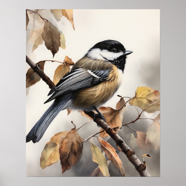 Chickadee Bird Art Print Poster (Framsidan)