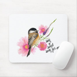 Chickadee Bird Black Caps Vår Say Musmatta
